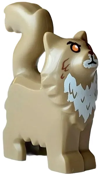 Tan Cat, Maine Coon, Standing with Orange Eyes, Reddish Brown Nose and Fur, White Muzzle and Chest P