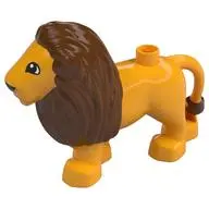 LION MALE