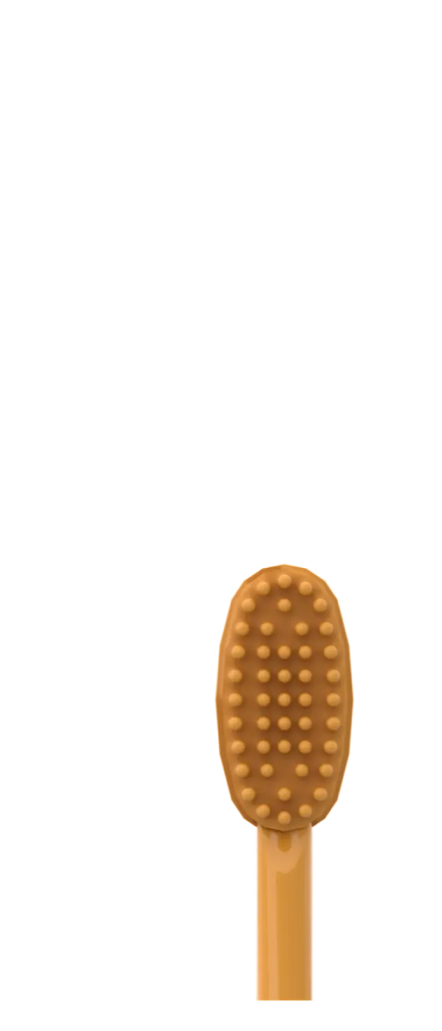 HAIR BRUSH