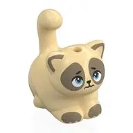 CAT, NO. 50