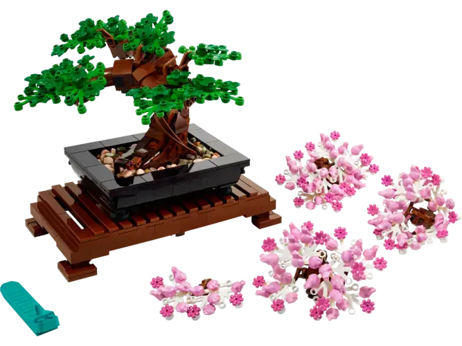 Bonsai Tree