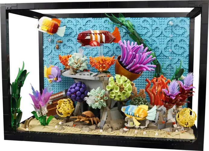 Tropical Aquarium