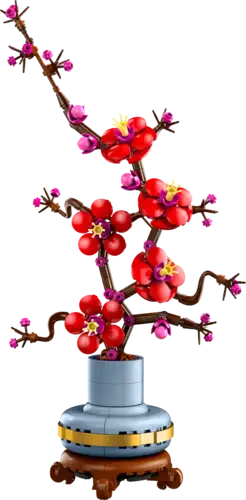 Plum Blossom