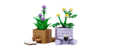 Cozy Plants