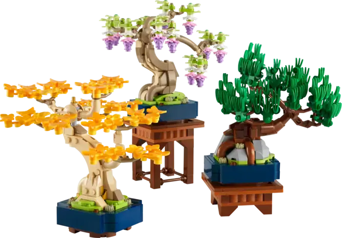 Mini Bonsai Trees