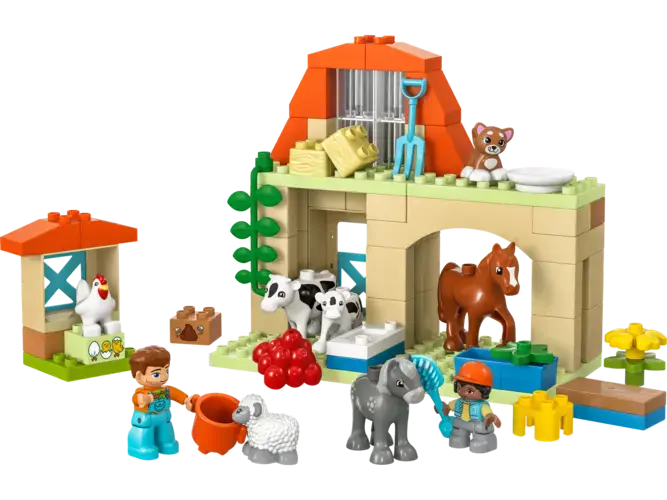 Caring for Animals at the Farm