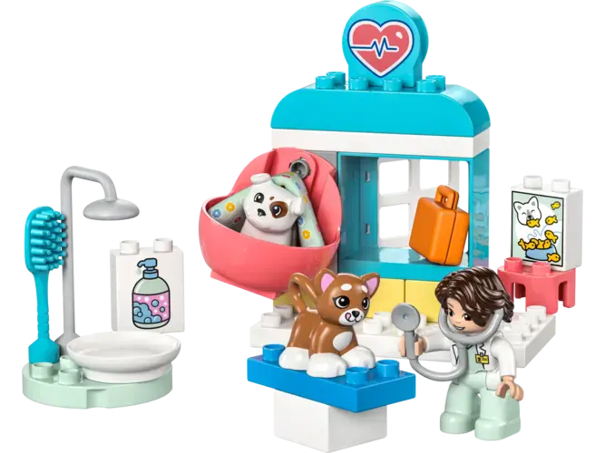 Visit to the Vet Clinic 10438