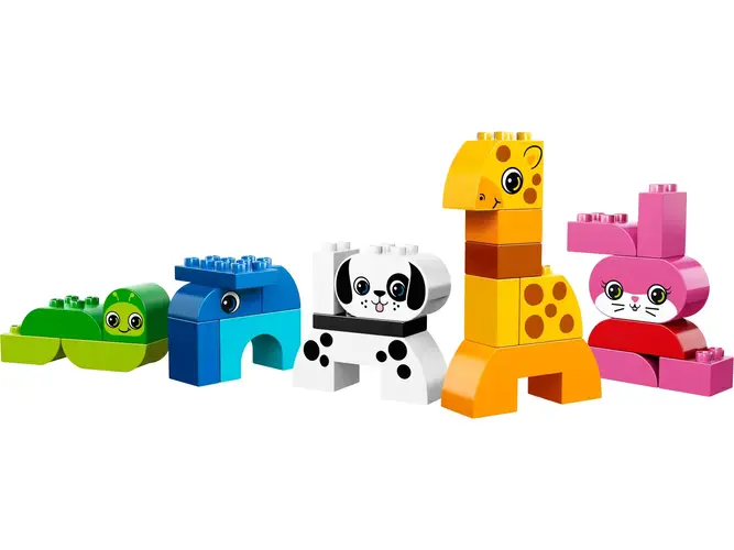 Creative Animals 10573