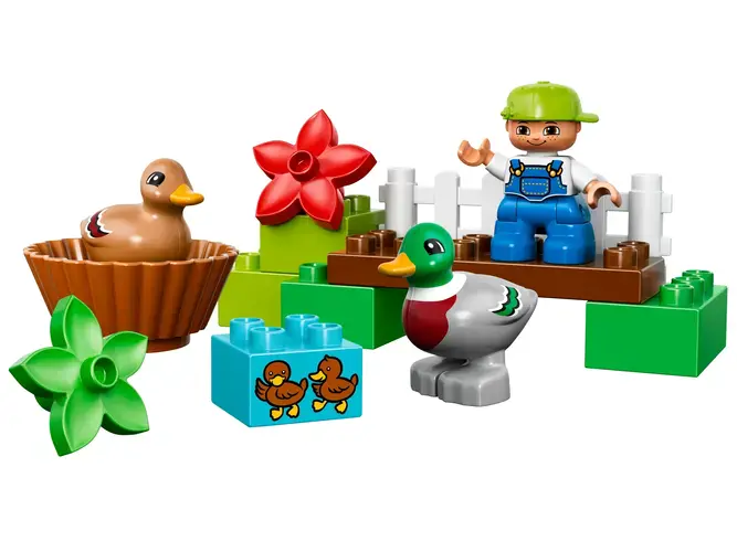Forest: Ducks 10581