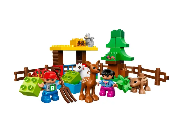 Forest: Animals 10582