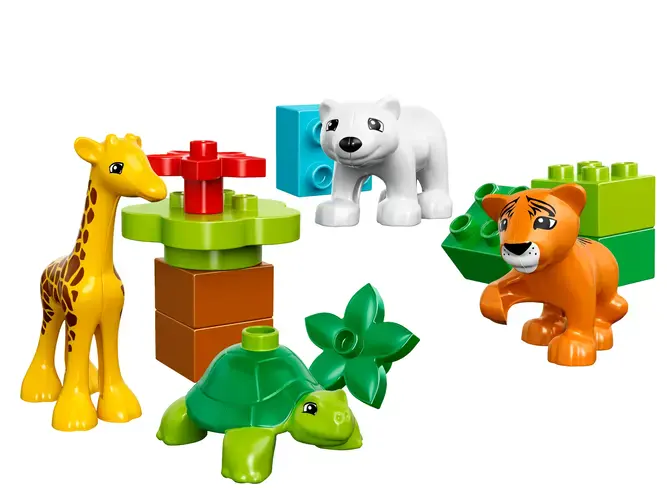 Baby Animals 10801