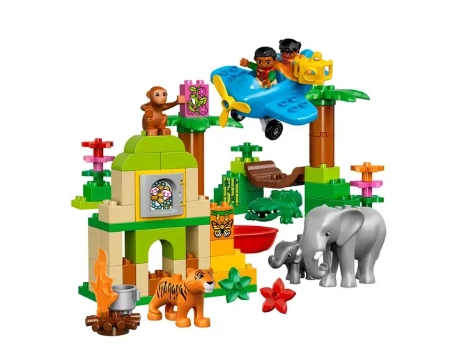 Jungle 10804
