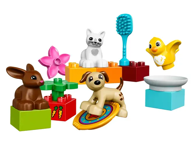 Family Pets 10838