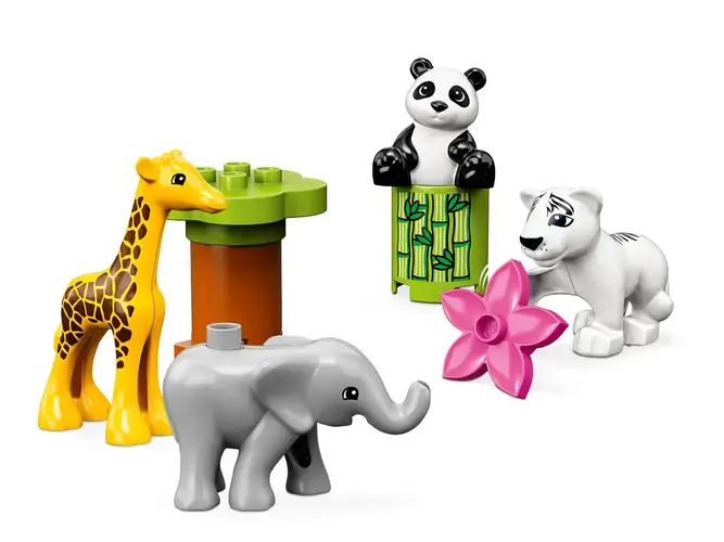 Baby Animals 10904
