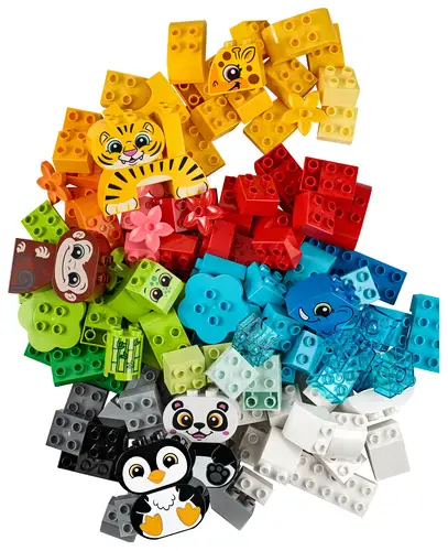 Creative animals 10934