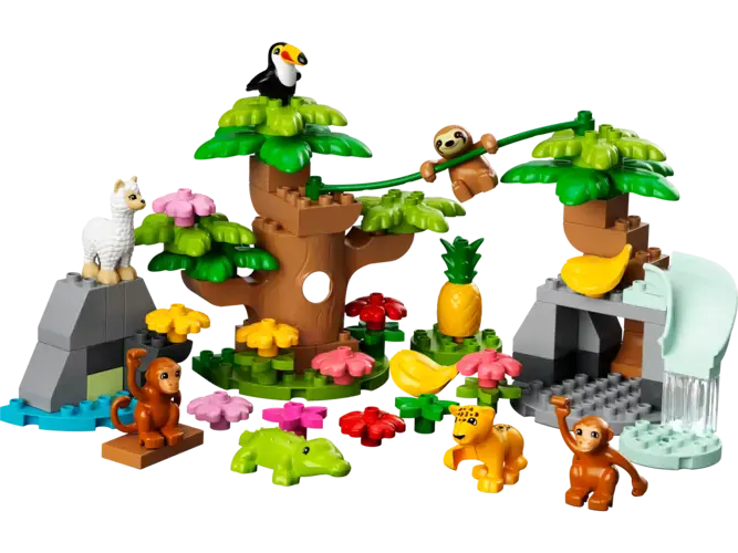 Wild Animals of South America 10973