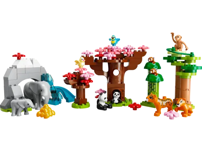Wild Animals of Asia 10974