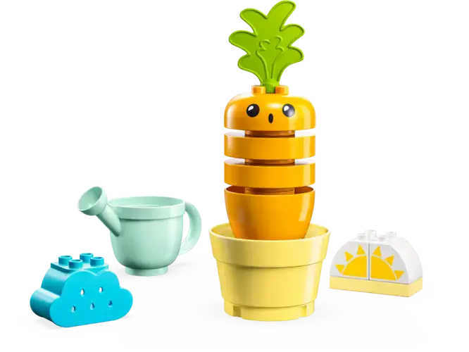 Growing Carrot 10981