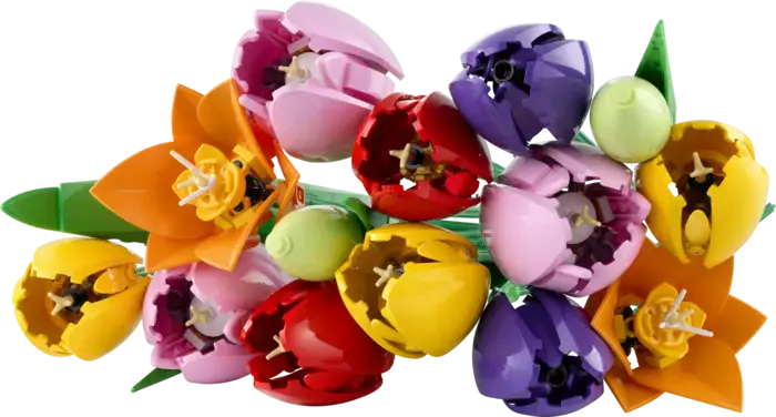 Tulip Bouquet
