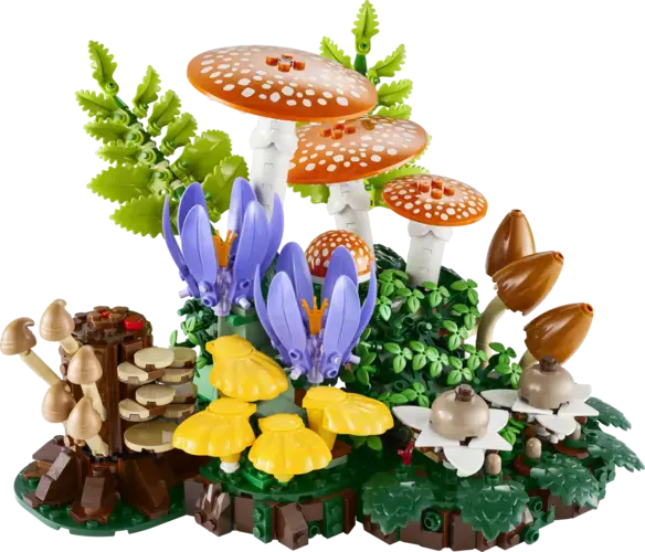 Woodland Mushrooms