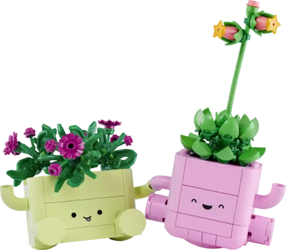 Rocking Plants