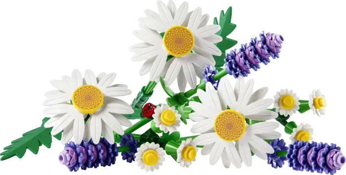 Daisies