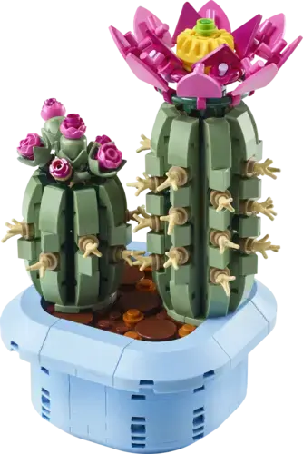 Flowering Cactus