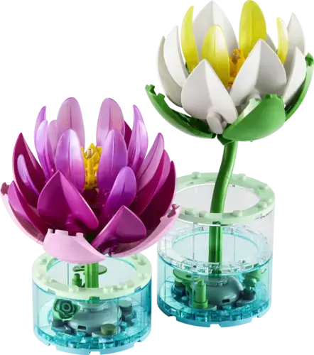Water Lilies