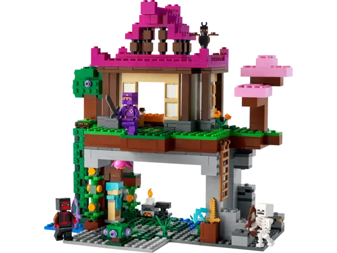 The Training Grounds 21183