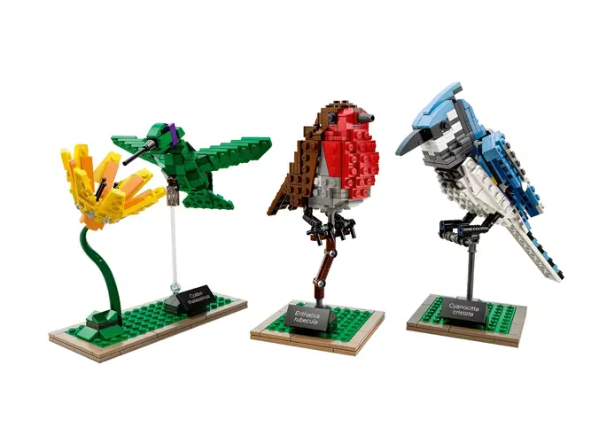 Birds 21301