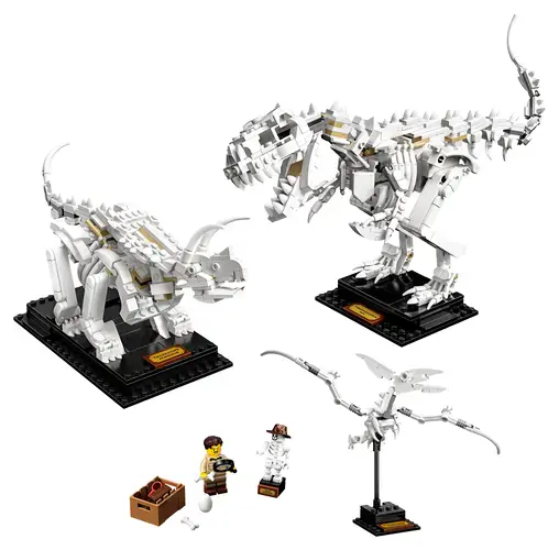 Dinosaur Fossils 21320