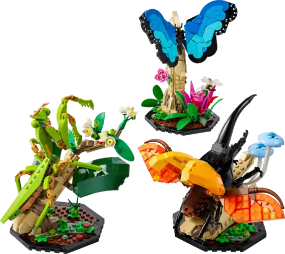 The Insect Collection
