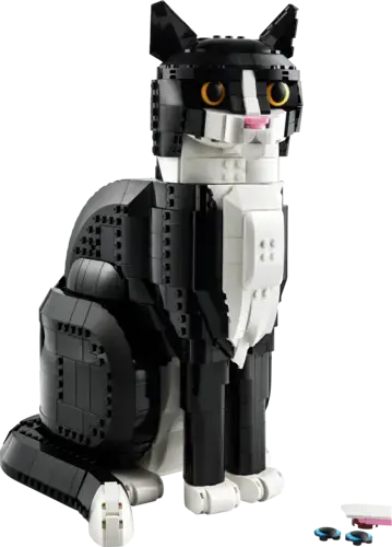 Tuxedo Cat
