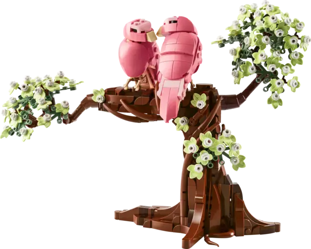Love Birds