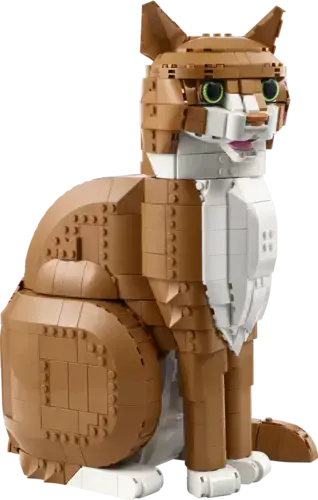 Orange Cat