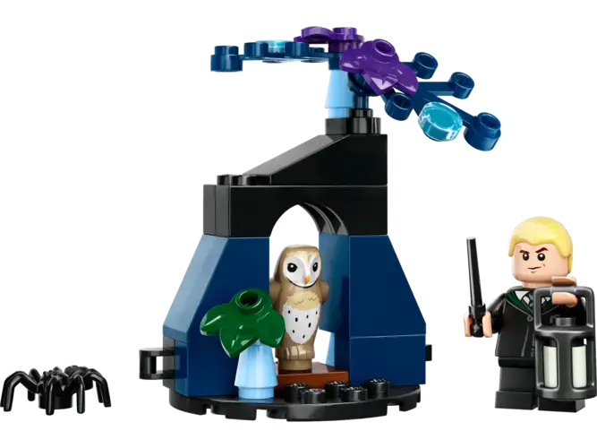 Draco in the Forbidden Forest™ 30677