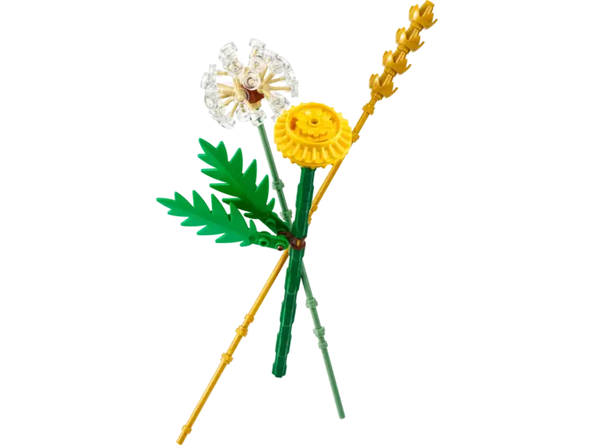 Field Flowers 30701