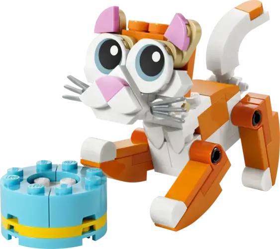 Orange Cat 30714