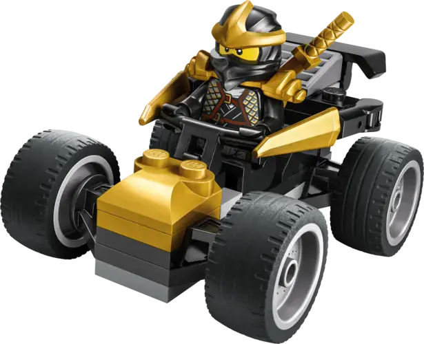 Ninja Cole's Car 30723