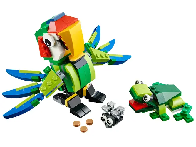 Rainforest Animals 31031
