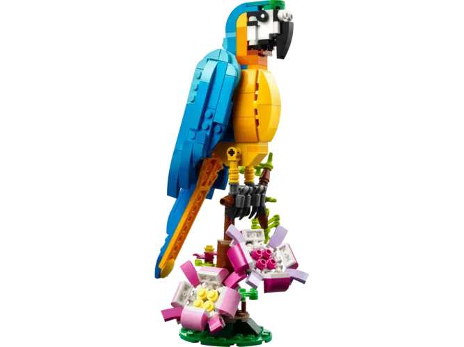 Exotic Parrot
