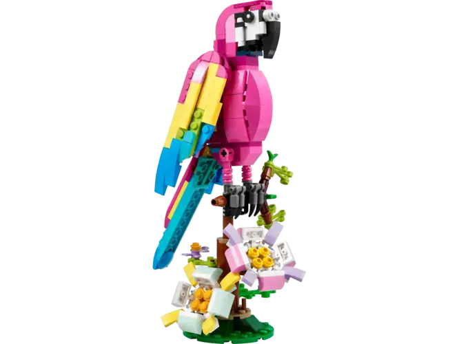 Exotic Pink Parrot 31144