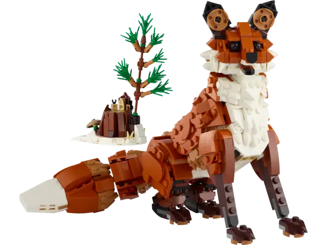Forest Animals: Red Fox