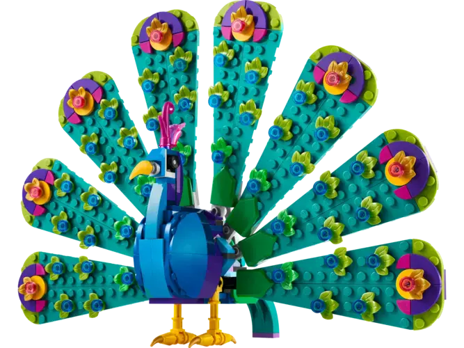 Exotic Peacock