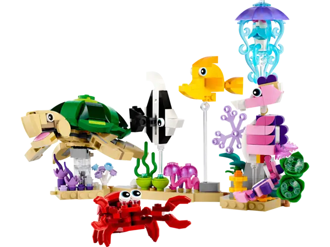 Sea Animals