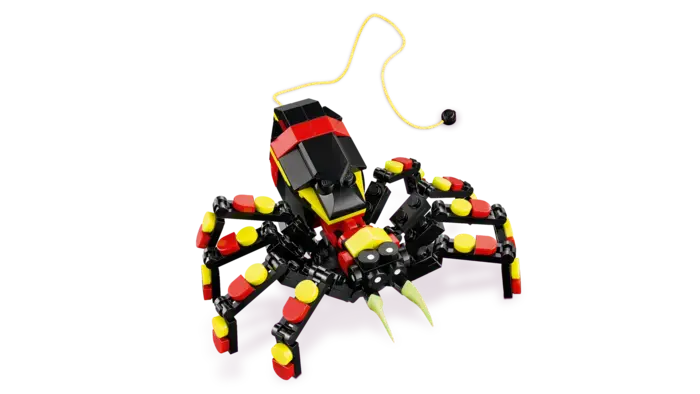 Wild Animals: Surprising Spider