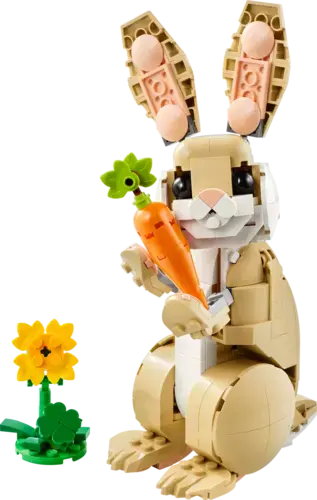 Cute Bunny