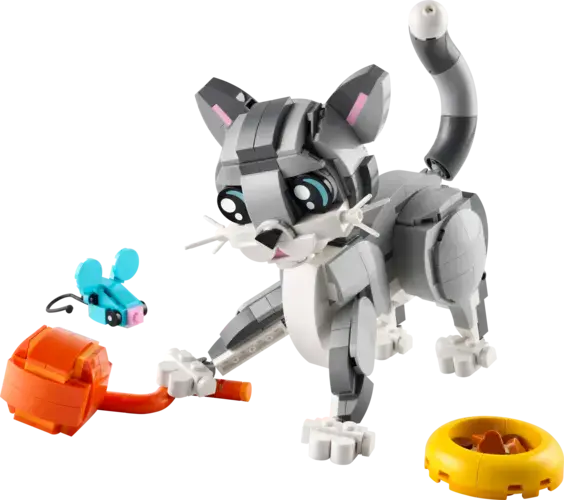 Playful Cat