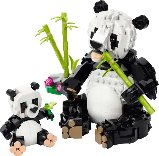 Wild Animals: Panda Family