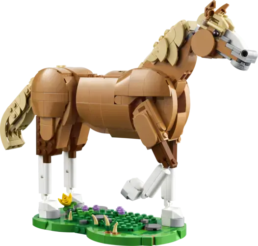 Beautiful Horse